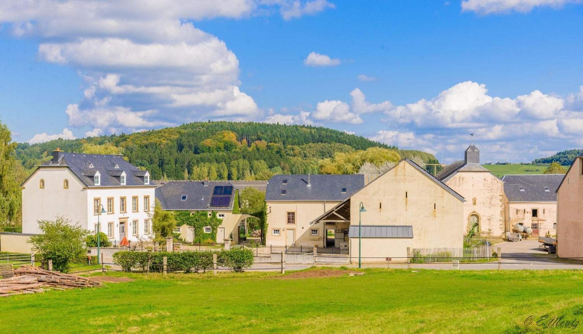 House Horse&groom Accommodatie bij particulieren *