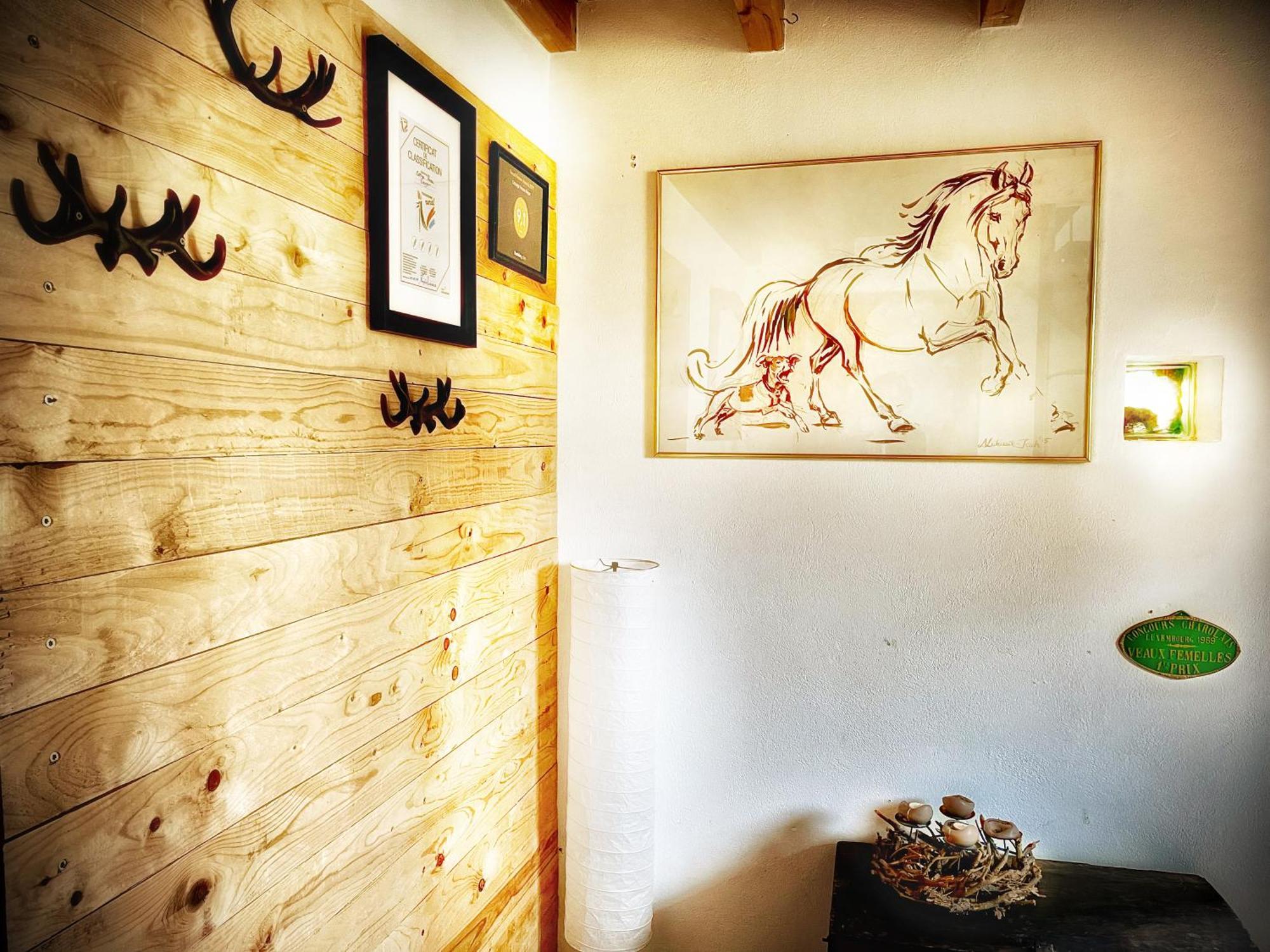 Accommodatie bij particulieren House Horse&groom Weyer