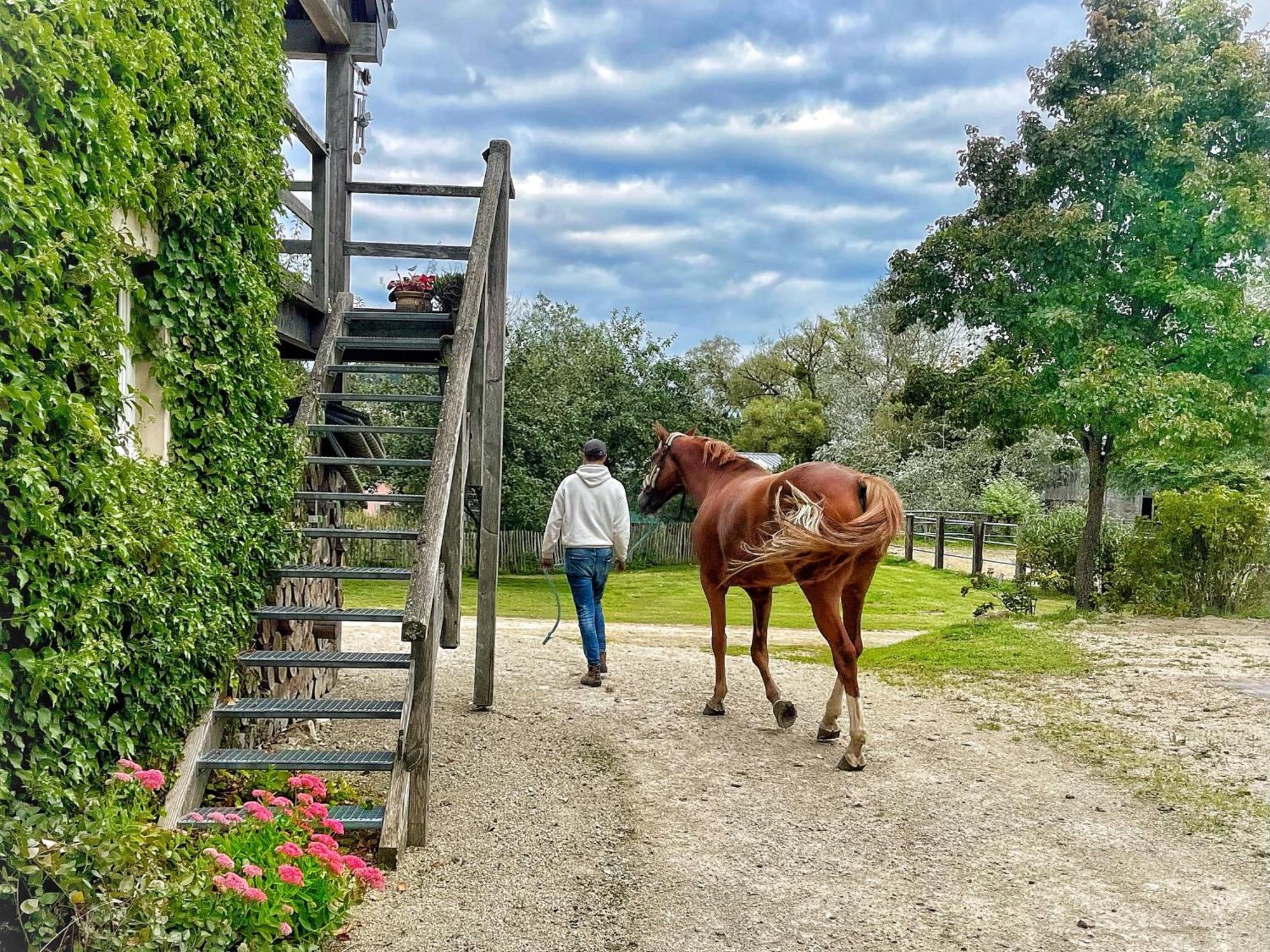 House Horse&groom Accommodatie bij particulieren