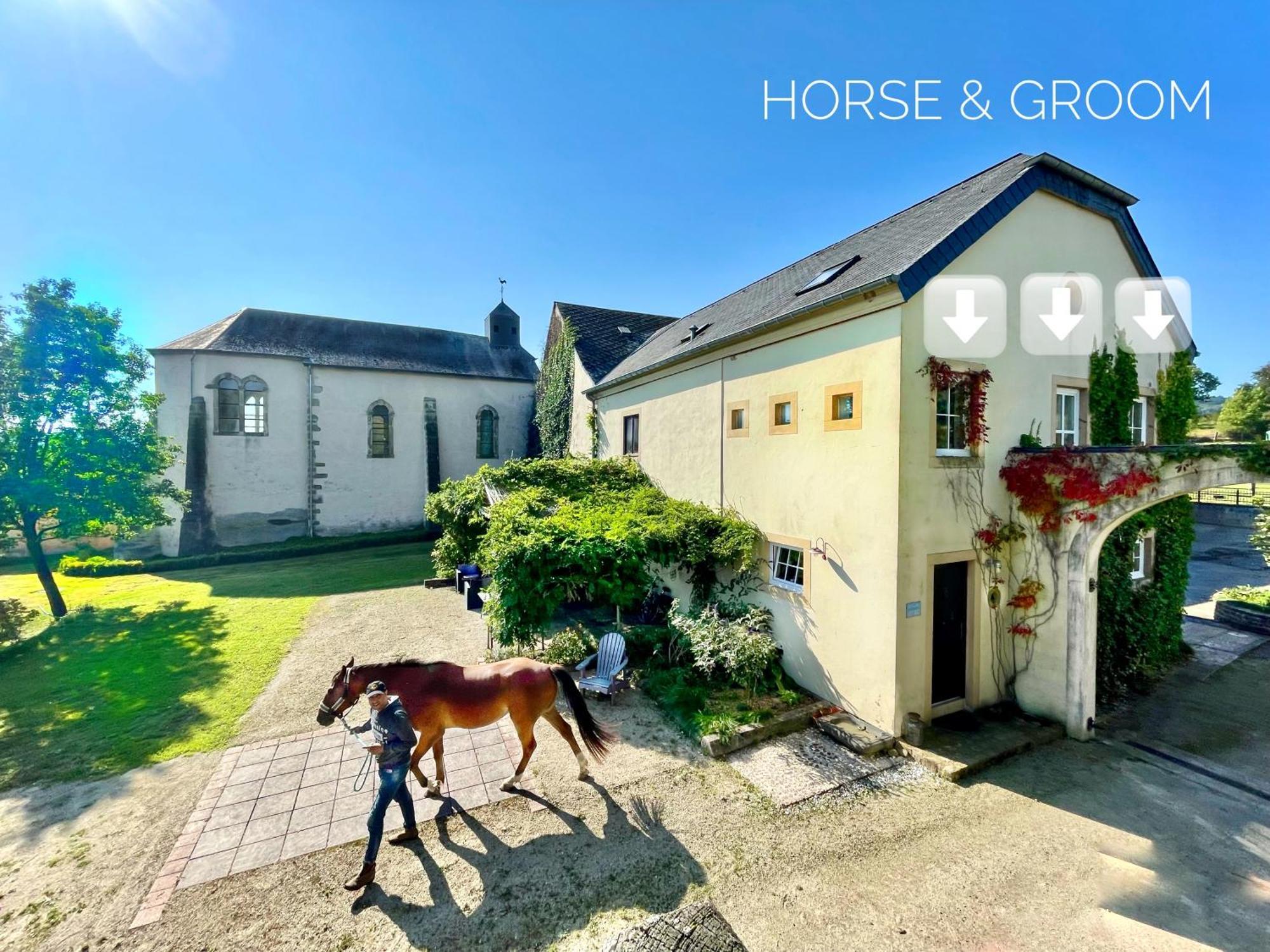 House Horse&groom Accommodatie bij particulieren *